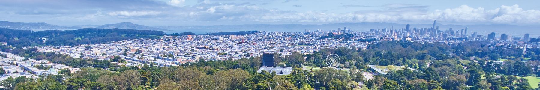 Bay Area Skyline