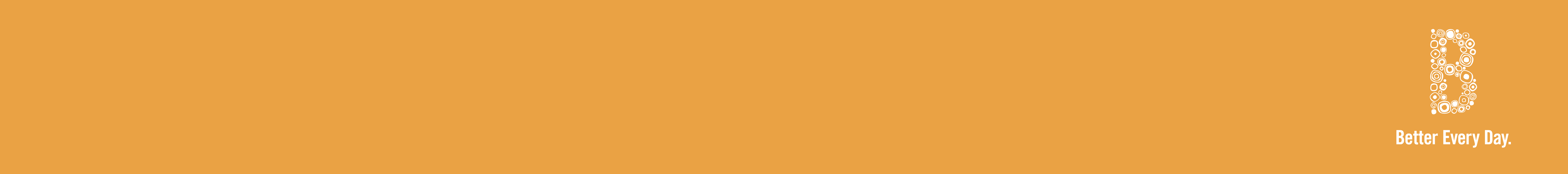 BED orange Logo