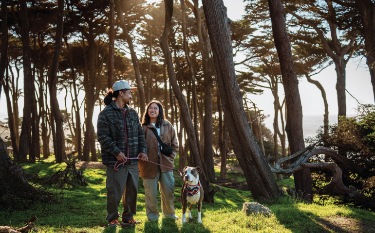 Outdoors Hike Lands End SF