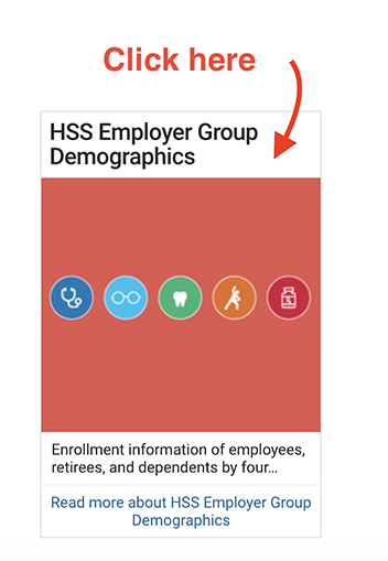 Screenshot of Employer Group Demographics Icon.