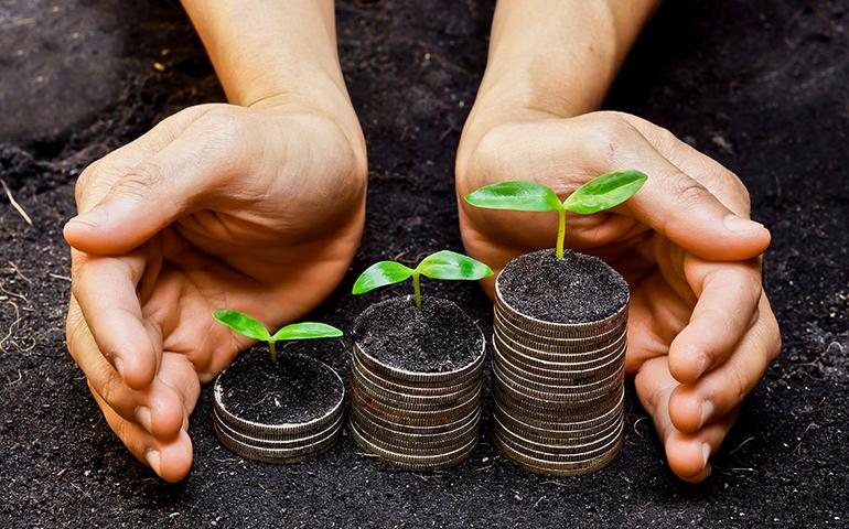 Plants sprouting from stacks of coins