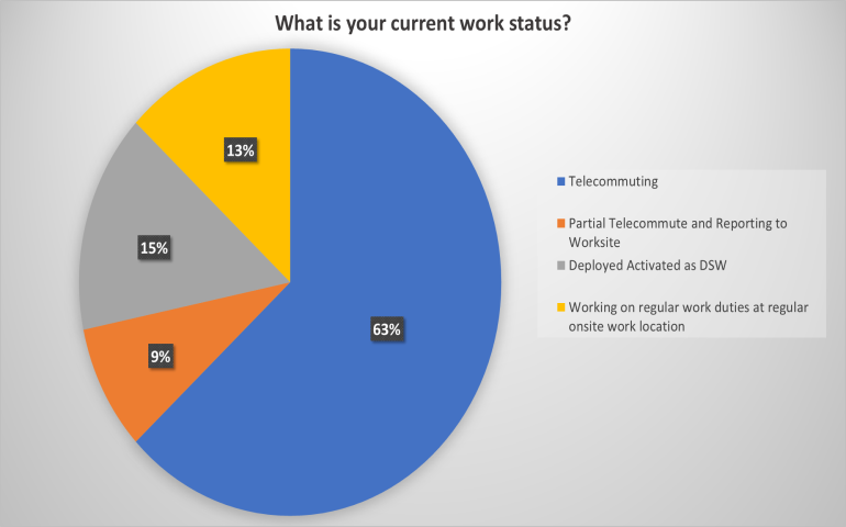 Focus Group Graph_Current Work Status