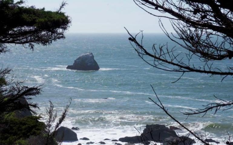 Anxiety relief meditation image ocean scene looking through trees