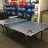 Wellness Center Ping Pong Table