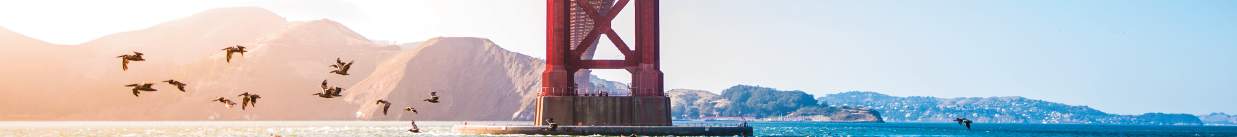 View under the Golden Gate Bridge