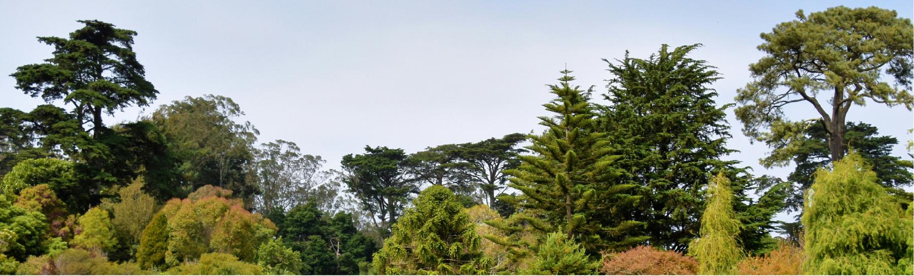 Botanical Gardens
