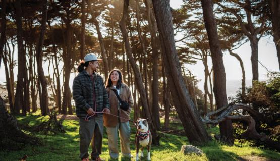Outdoors Hike Lands End SF
